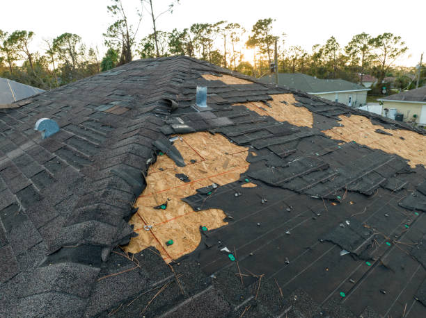 Trusted Olga, FL Roofing Experts